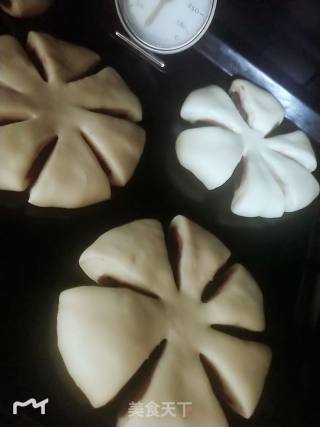 Light Cream Bean Paste Buns recipe