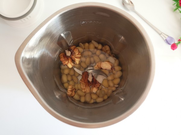 Walnut Soy Milk recipe