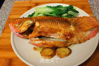 [daily New Product] Pan-fried Tilapia recipe