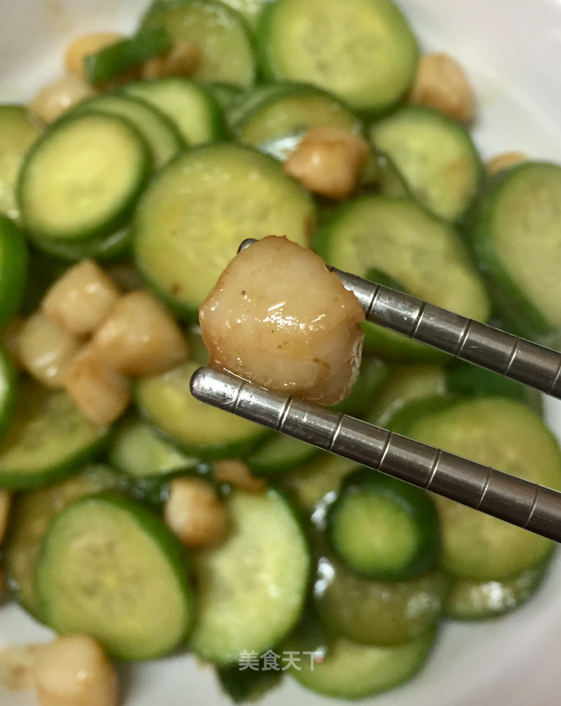 Stir-fried Cucumber with Fresh Scallops recipe