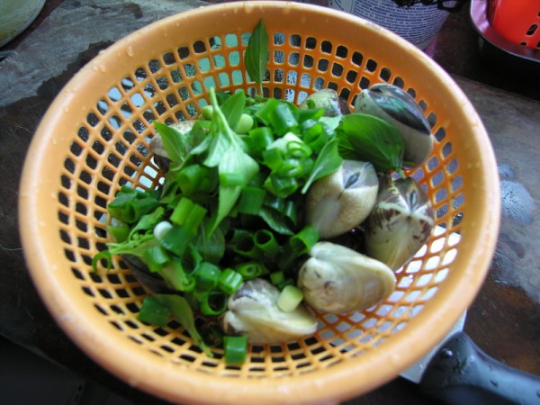 Boiled Clams in Brine with Basil recipe