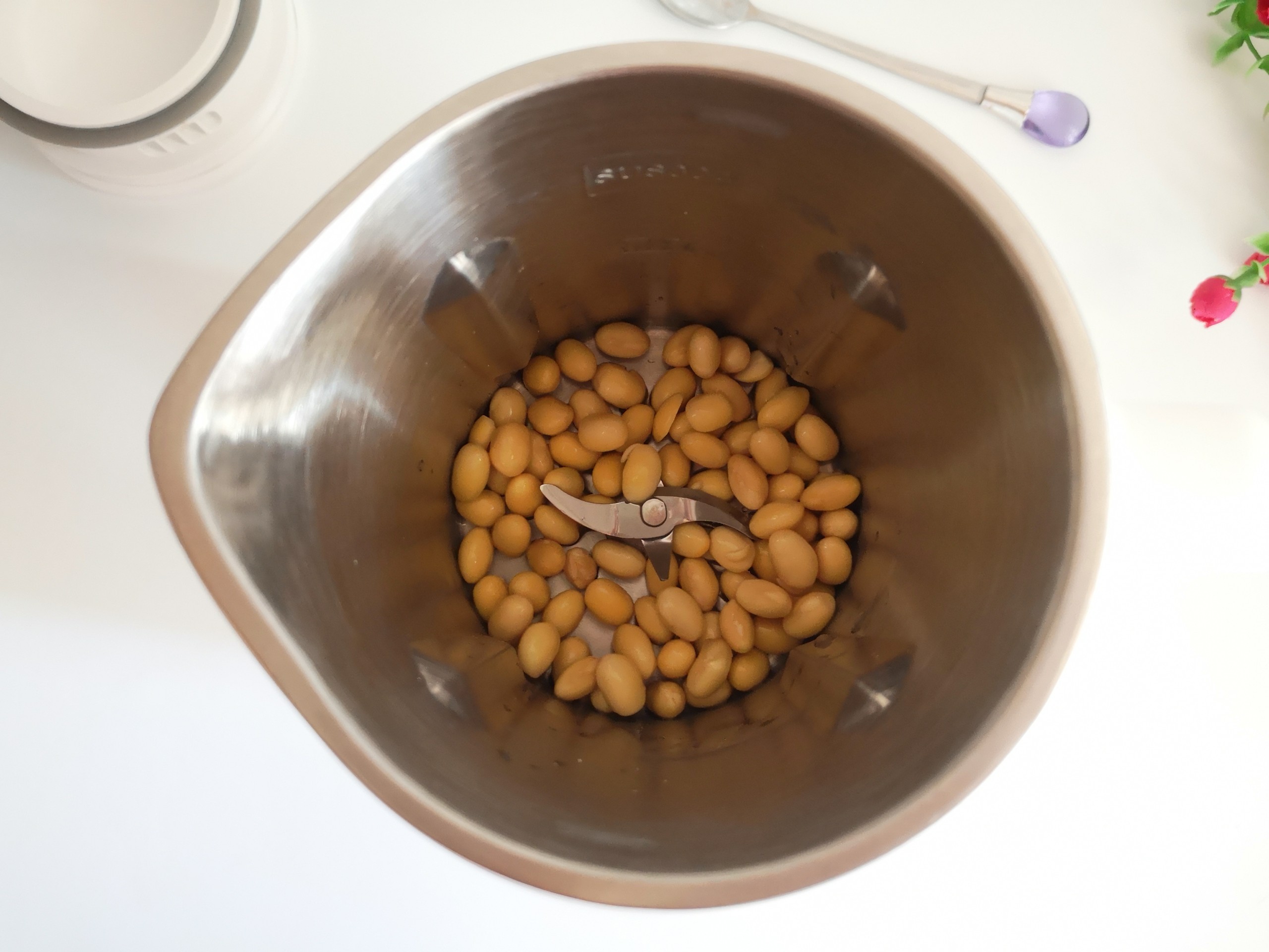 Walnut Soy Milk recipe