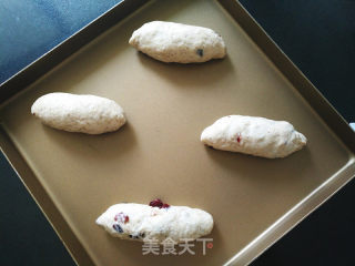 Cranberry Whole Wheat Golden Germ Bread recipe