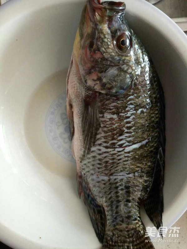 Braised Tilapia recipe