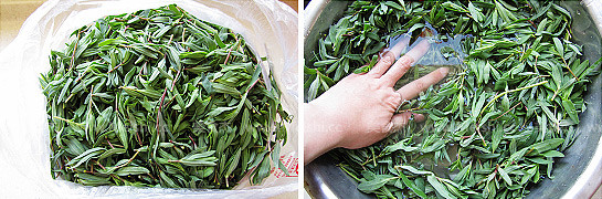 Hawthorn with Sesame Sauce Mixed with Alfalfa recipe