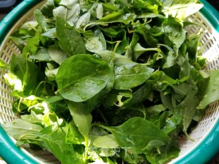 Scrambled Eggs with Wolfberry Leaves recipe