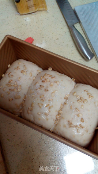 Oatmeal Toast recipe