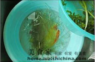 Homemade Beef Soup recipe