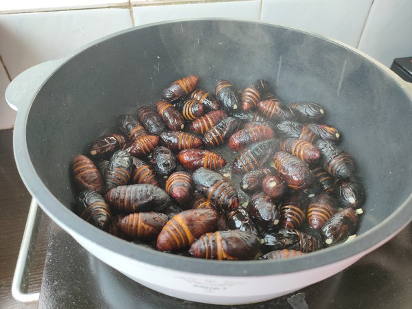 Nutritious and Delicious Oyster Sauce Silkworm Pupae, Delicious and Easy to Make recipe