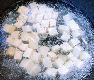 Pig's Blood Stewed Tofu#food Trimmings to Make A Big Meal# recipe