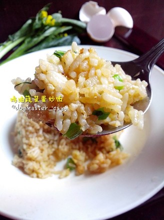 Fried Rice with Chicken Sauce and Vegetable Egg