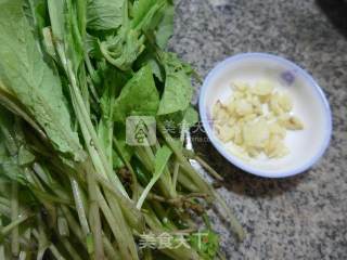 Garlic Carrot Seedlings recipe