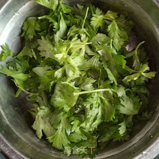 Celery Leaf Salad recipe