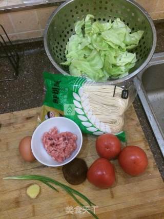 Tomato Meatball Noodle recipe