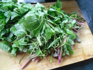 Garlic Wild Celery recipe