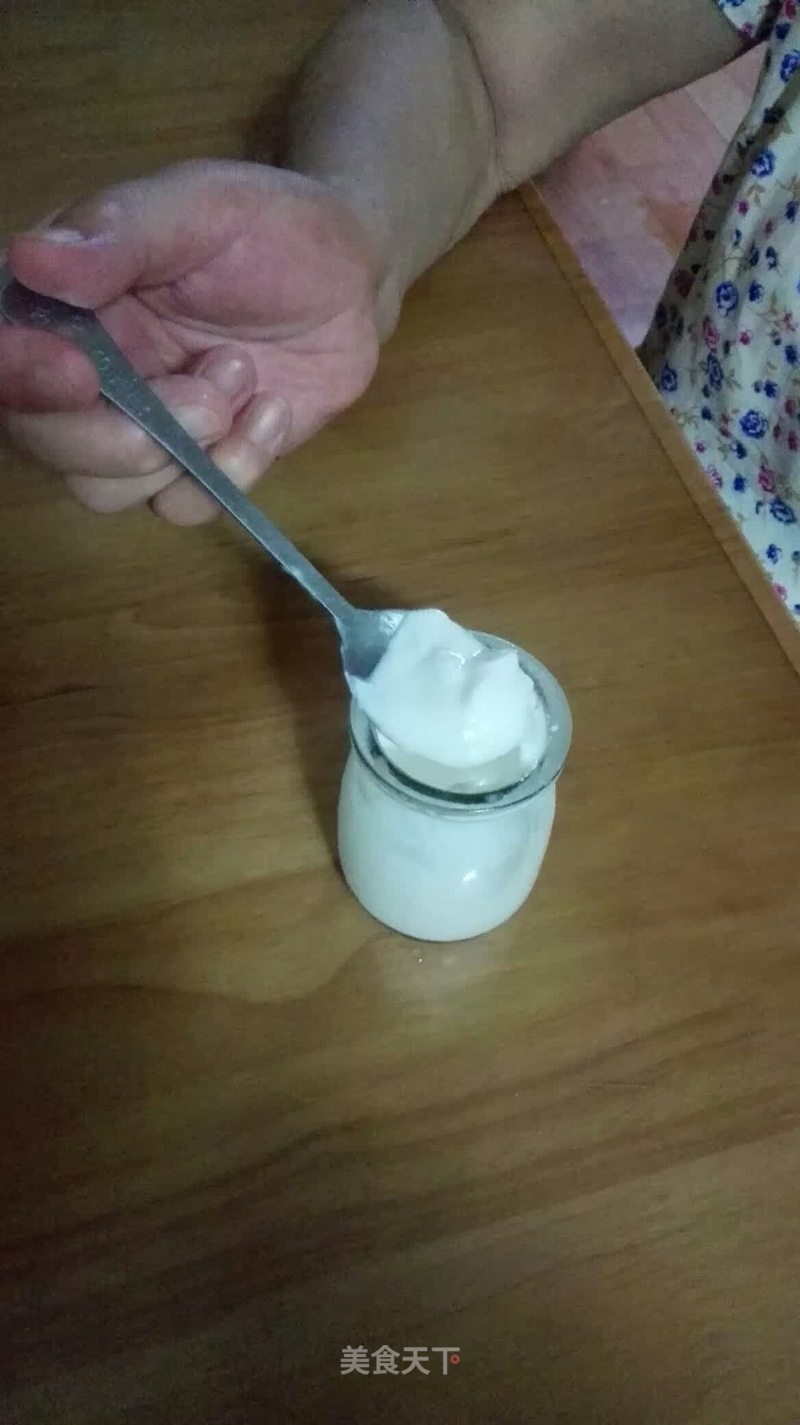 Easy to Make Delicious Yogurt recipe