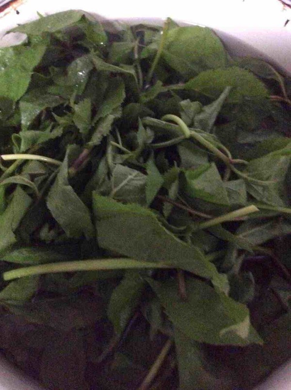 Steamed Dumplings with Acanthopanax Leaves recipe