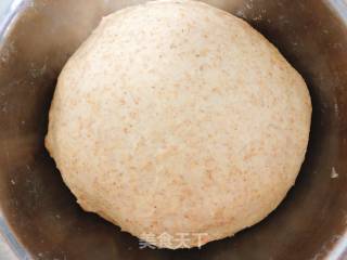 Whole Wheat Bread recipe