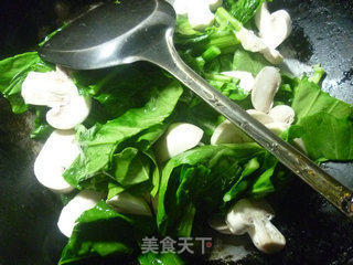 Mushroom Stir-fried Rape recipe