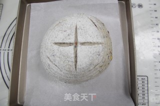 Whole Wheat Butterwood Soft European Buns recipe