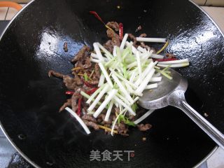 Dried Shredded Beef recipe