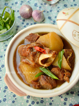 Lamb Stew with Radishes recipe