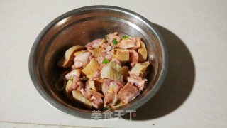 Meat Dishes-braised Chicken recipe