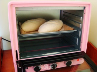 Raisin Soft European Bun recipe