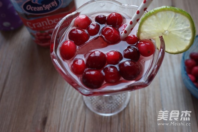 Cranberry Sparkling Fruit Wine recipe