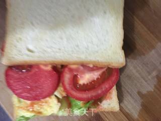 Egg and Vegetable Sandwich recipe