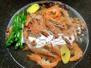 Brine Shrimp recipe