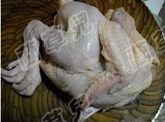 Grilled Chicken with Cumin and Scallions recipe