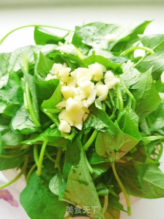 Green Stir-fried Sweet Potato Leaves recipe