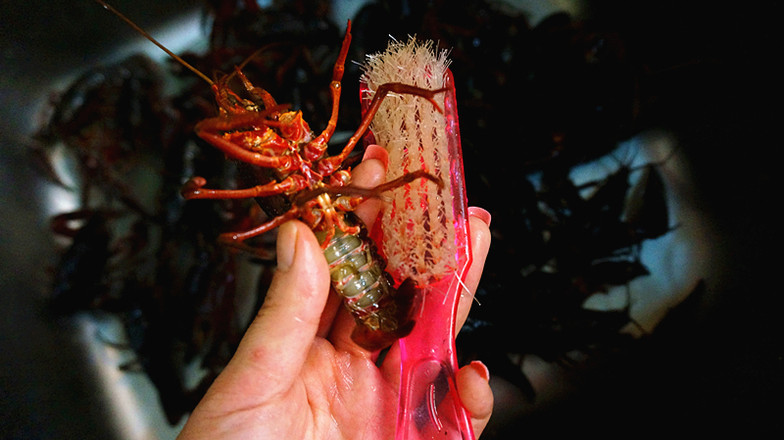 Stir-fried Crayfish recipe