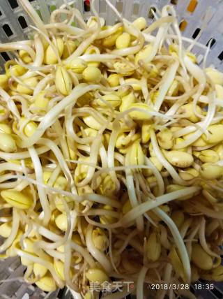 Minced Meat Soy Sprouts recipe