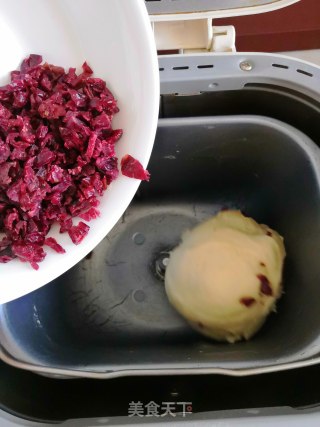 Medium Cranberry Toast recipe
