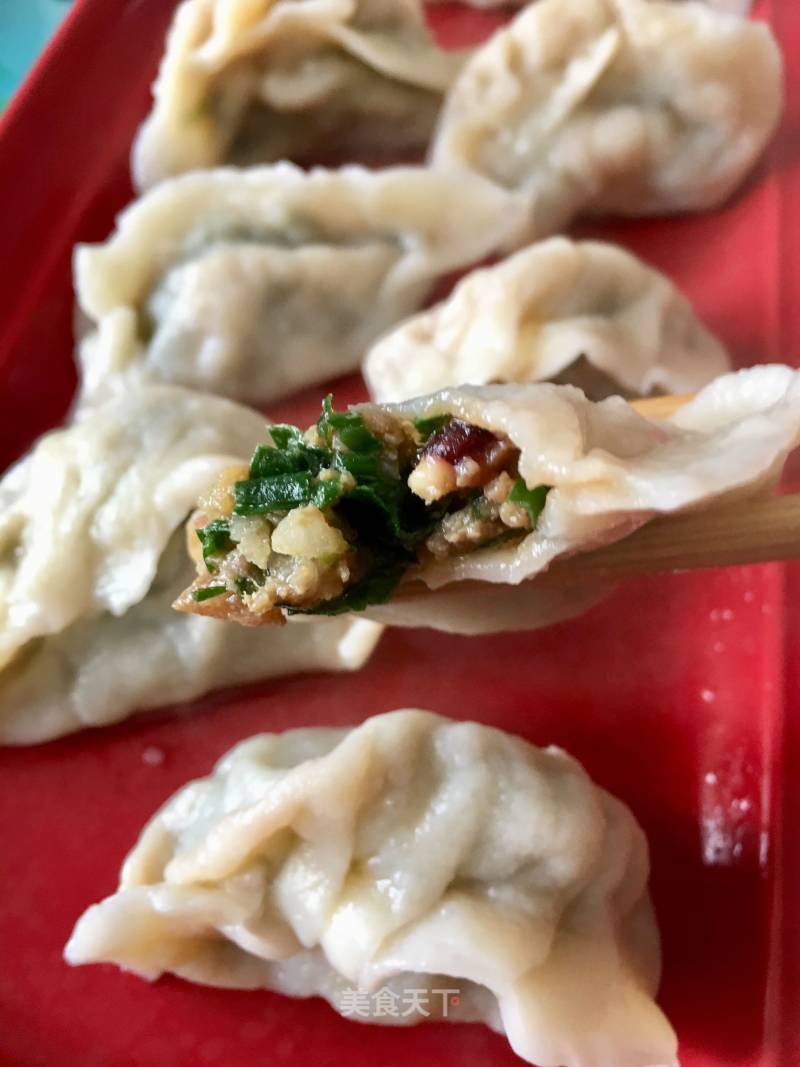 Octopus Dumplings recipe