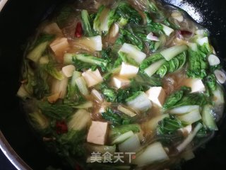 Cabbage Tofu Stewed Vermicelli recipe