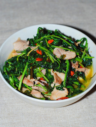 Stir-fried Pork with Wolfberry Sprouts recipe