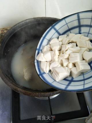 Fish Fin Tofu Soup recipe