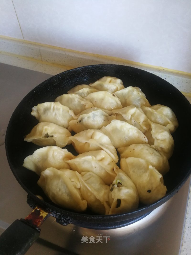 Fried Dumplings