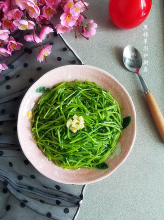 Stir-fried Willow Artemisia Sprouts recipe