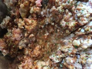 Fresh Meat Wonton recipe