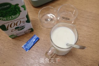 Homemade Plain Unsweetened Yogurt recipe