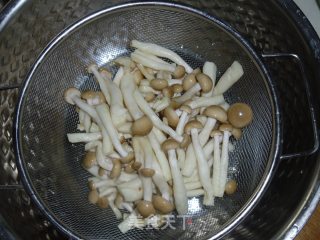Braised Sea Cucumber with Mushrooms recipe