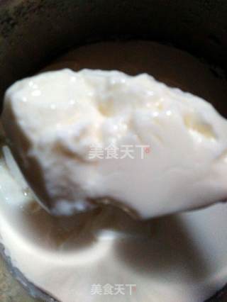 Homemade Yogurt, Tofu Brain Shape recipe