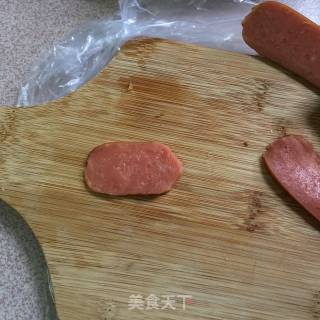 Dog Pork Floss Rice Ball recipe