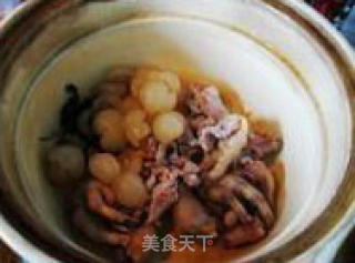 Chicken Feet Lean Meat Fruit Ginseng Soup recipe