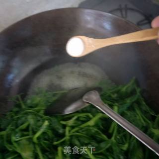 Stir-fried Pea Sprouts recipe