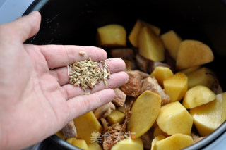 Pressure Cooker Beef Stew with Potatoes recipe